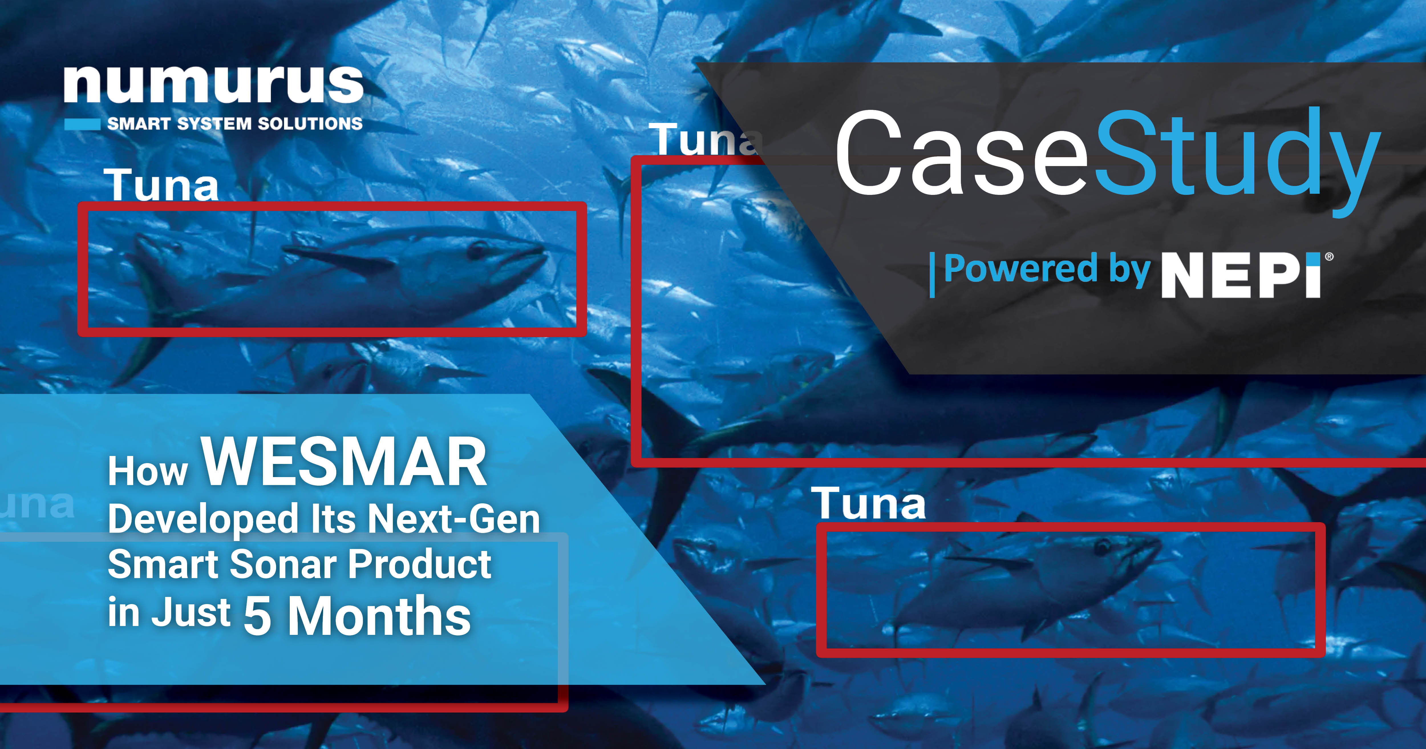 WESMAR smart sonar with NEPI AI detection identifying targets