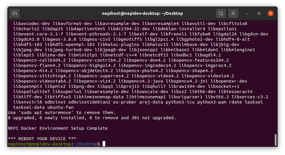 Terminal output showing environment setup completion